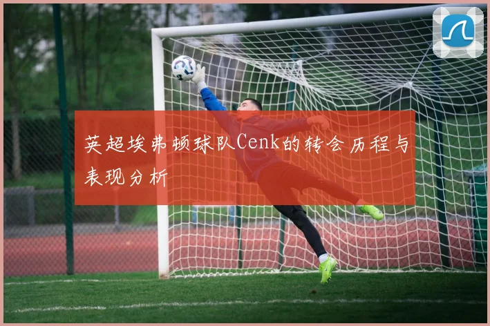 英超埃弗顿球队Cenk的转会历程与表现分析