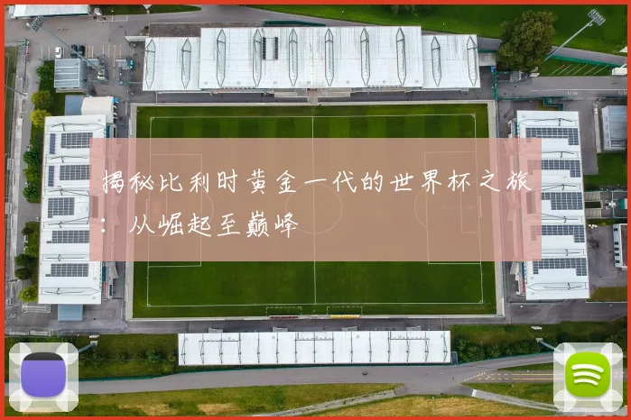 揭秘比利时黄金一代的世界杯之旅：从崛起至巅峰